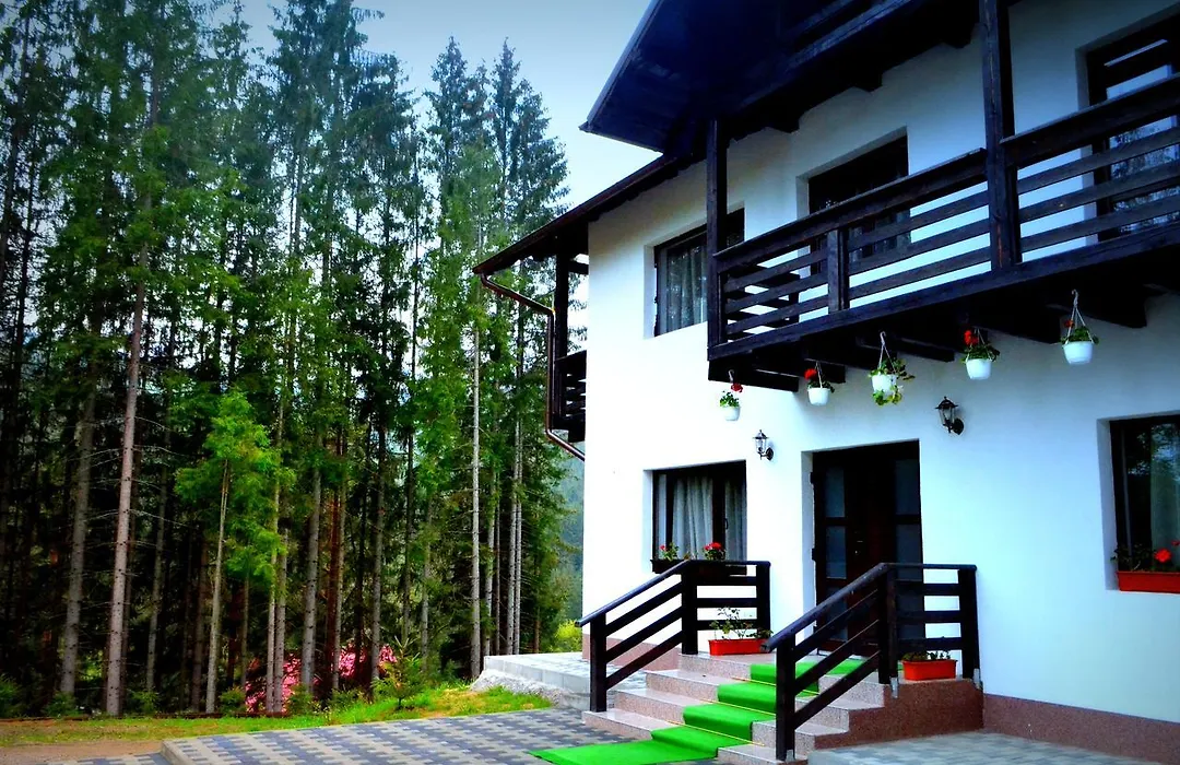 Pensiunea Vatra Bucovinei-1